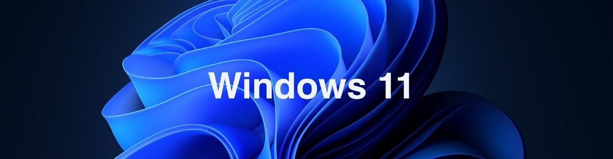 正版win10怎么升级11？WindowS 10升级到windowS 11的方法