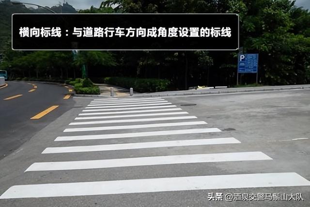 交通标志图片大全，教你认道路交通标志线