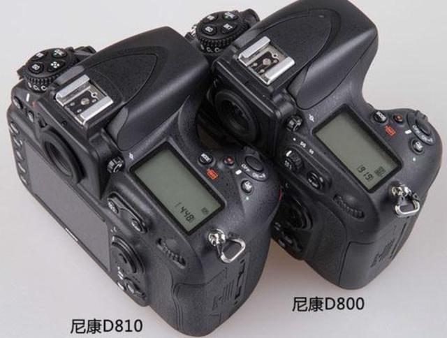 尼康D800参数介绍，尼康d800和d810的区别