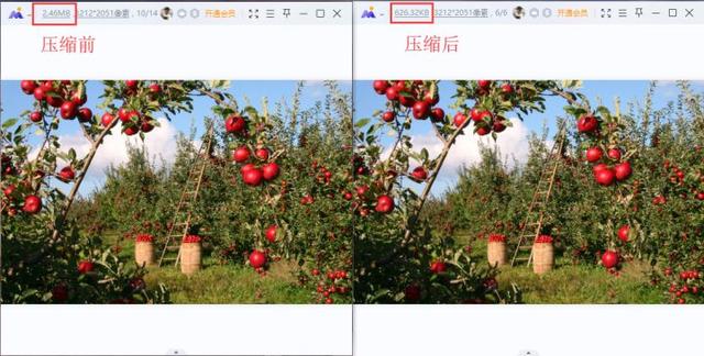 图片管理软件哪个好用？如何压缩图片大小还能保持清晰度