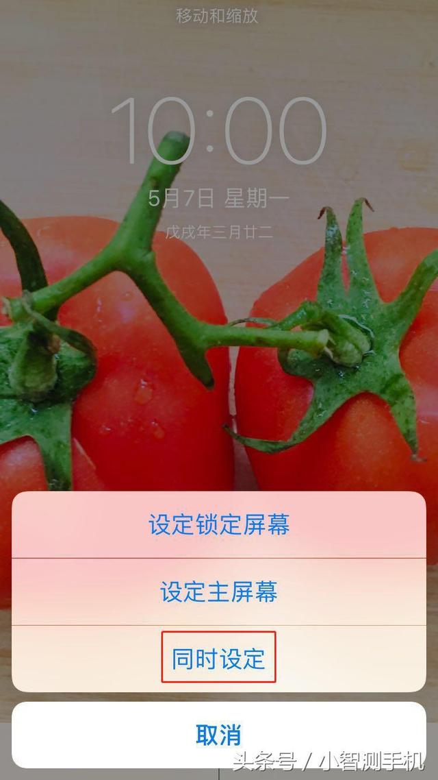 iphone怎么设置壁纸？苹果手机壁纸自定义教程