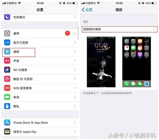 iphone怎么设置壁纸？苹果手机壁纸自定义教程