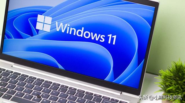 电脑打开网页速度慢怎么回事？windows11卡顿严重解决办法