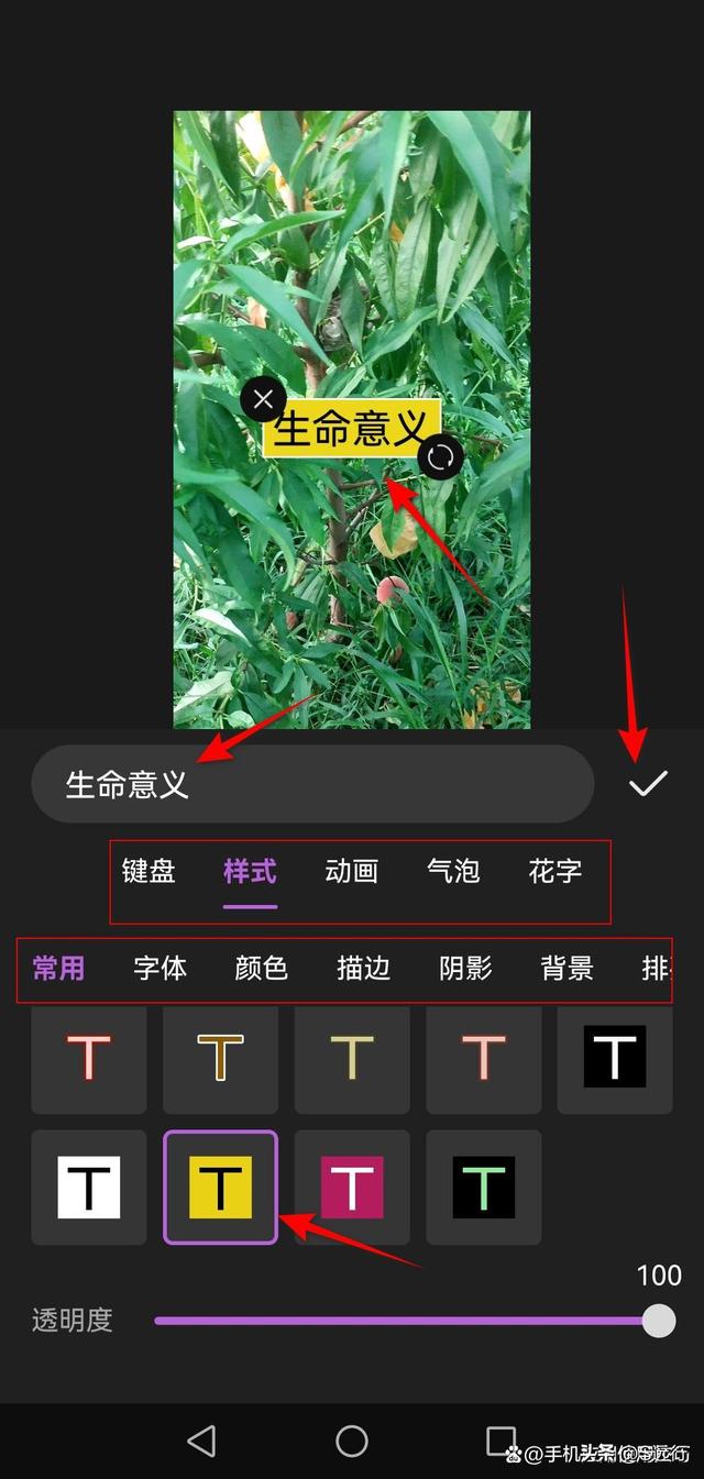 怎么在视频上编辑文字？视频上添加文字的方法