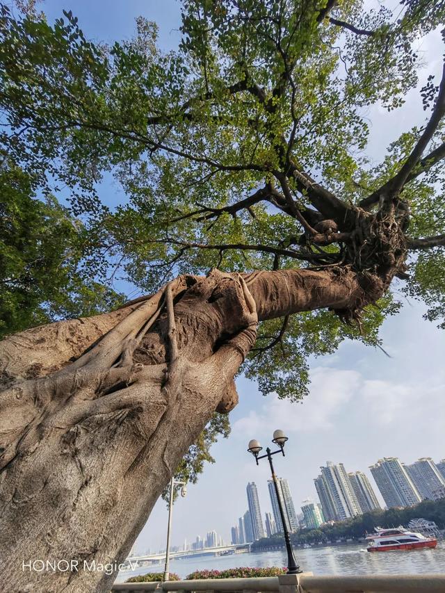 荣耀折叠屏magicv怎么样？荣耀折叠手机magic v深度测评