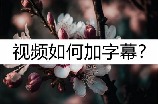 视频如何加字幕？给视频添加字幕的最简单的方法