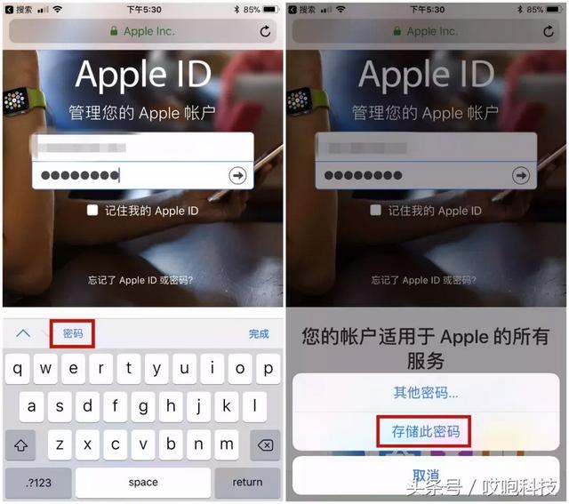 appleid密码忘记了怎么找回？apple id账号密码忘了解决方法